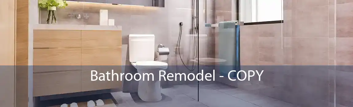 Bathroom Remodel - COPY 