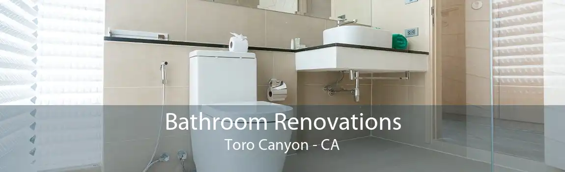 Bathroom Renovations Toro Canyon - CA