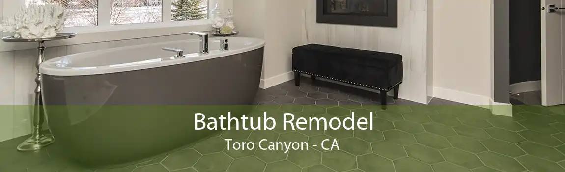 Bathtub Remodel Toro Canyon - CA