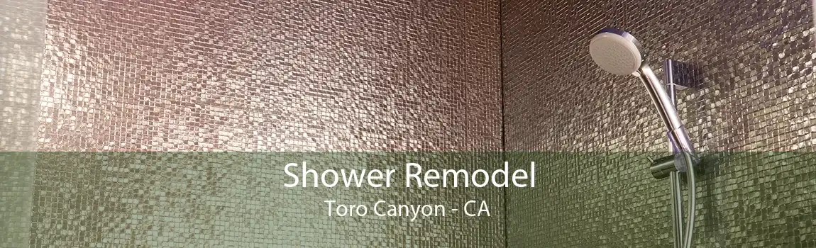 Shower Remodel Toro Canyon - CA
